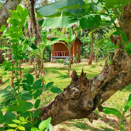 Milk House Cottage Udawalawe Εξωτερικό φωτογραφία
