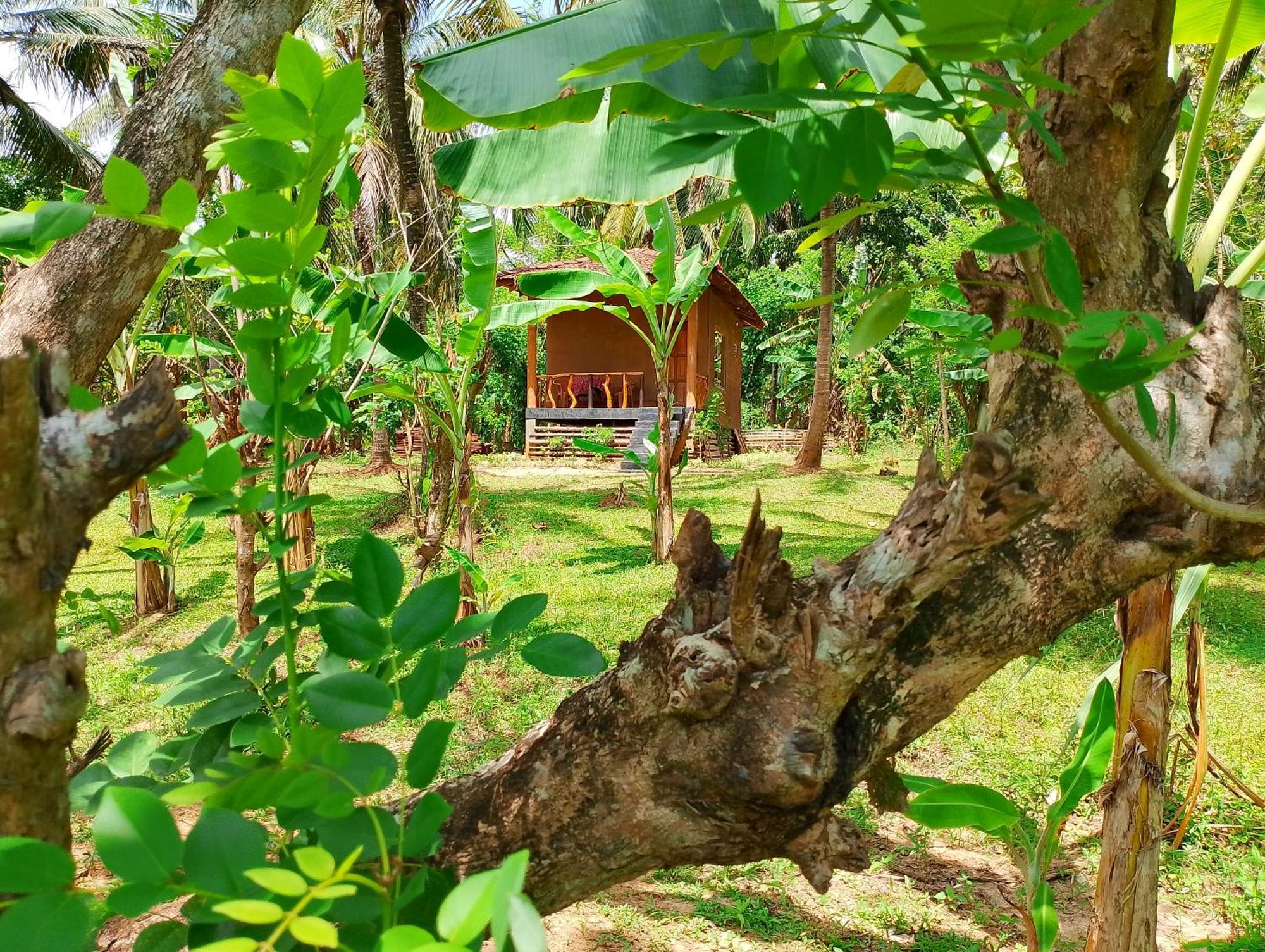 Milk House Cottage Udawalawe Εξωτερικό φωτογραφία