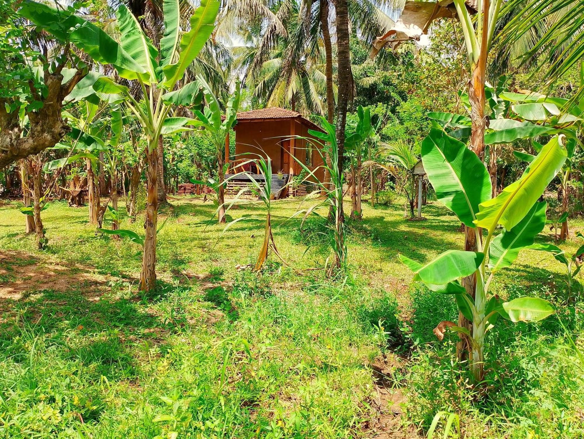 Milk House Cottage Udawalawe Εξωτερικό φωτογραφία
