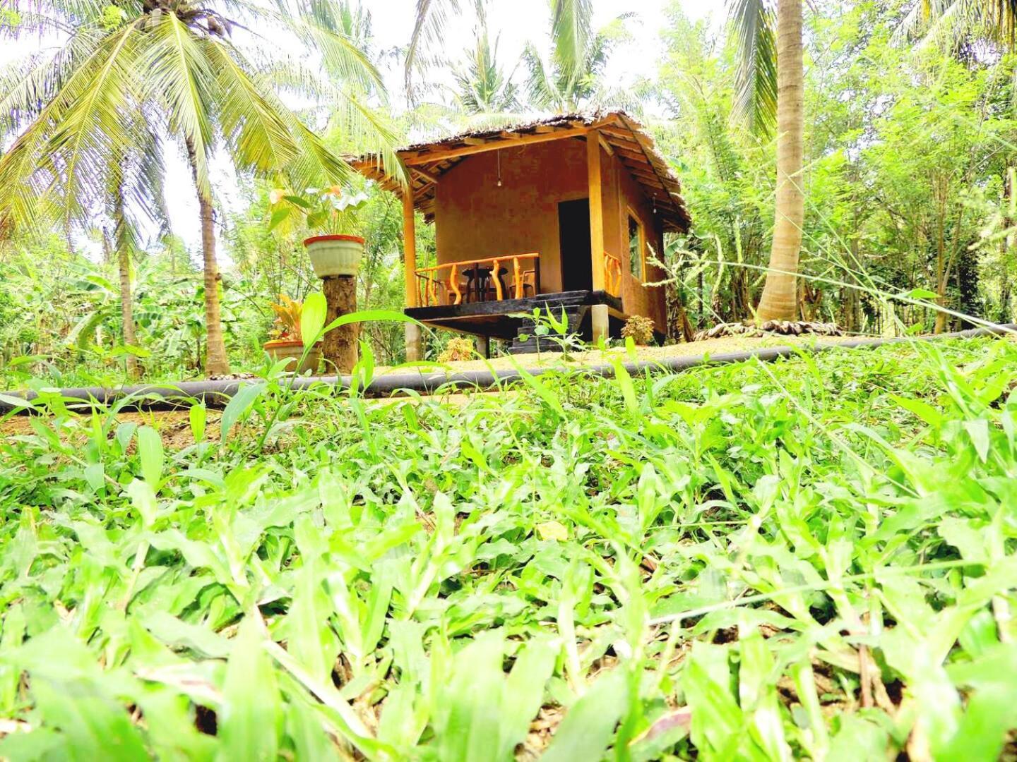 Milk House Cottage Udawalawe Εξωτερικό φωτογραφία