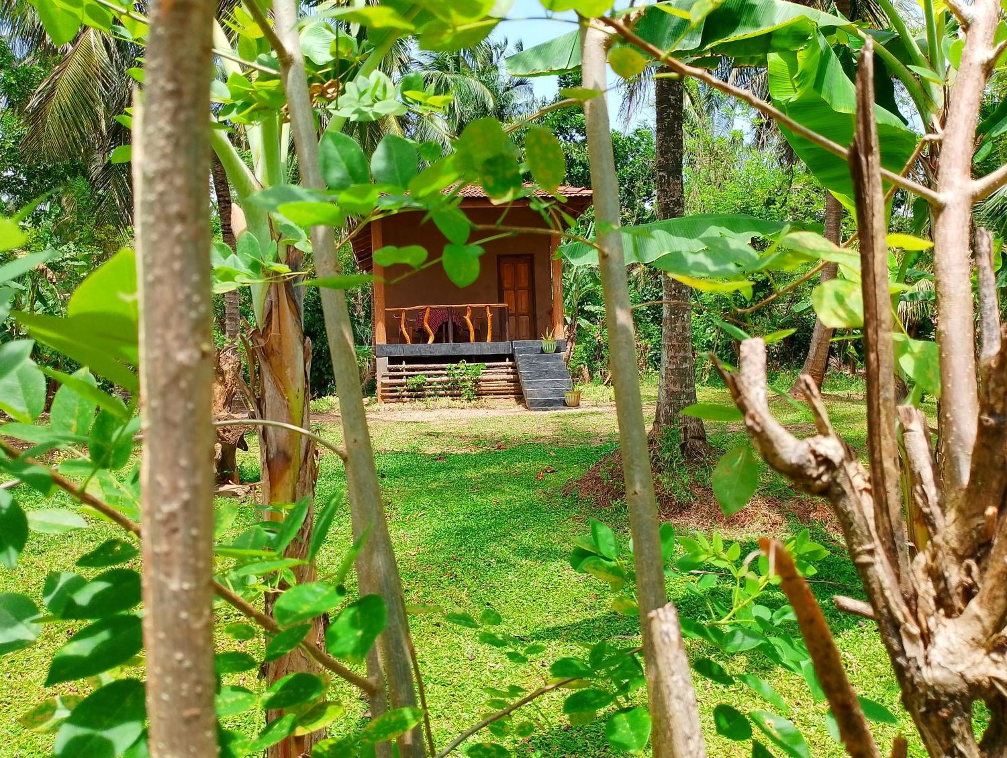 Milk House Cottage Udawalawe Δωμάτιο φωτογραφία